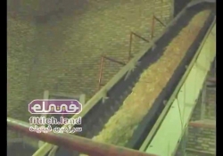 گزارش فیتیله ای - نوپان سازی